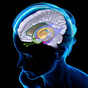 Photograph: Alamy (Feu clic per llegir l'article on s'ha publicat l'imatge original)